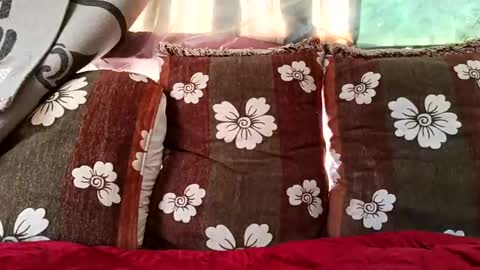 Snapshot of marocreda33 chatting on 10, 2, 2025 marocreda33 online show from 10, 2, 2025