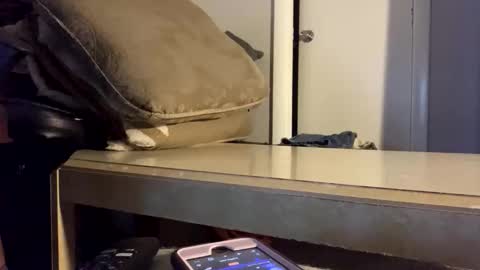 Snapshot of martasub chatting on 15, 12, 2025 martasub online show from 15, 12, 2025