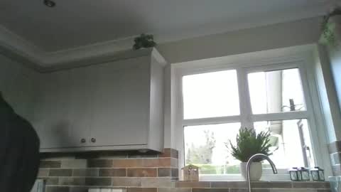 martinrgbxxxx online show from 15, 12, 2024