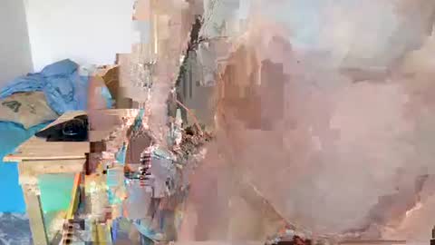 Moose online show from 21, 1, 2025