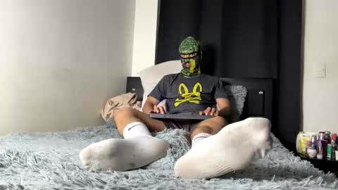 MasterCOL online show from 11, 3, 2026