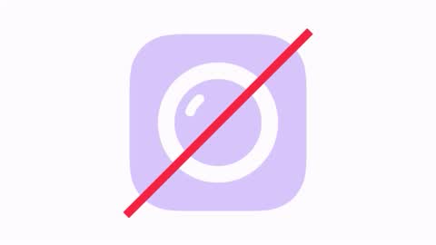 dhalz online show from 29, 11, 2025