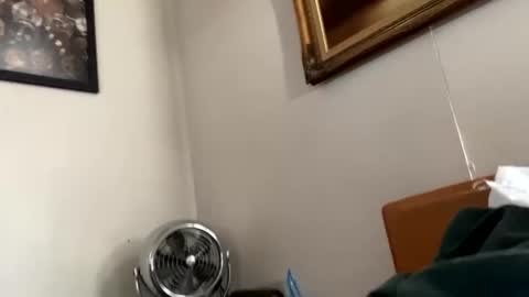 maturejerky online show from 18, 11, 2025