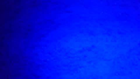 Ignacio online show from 29, 12, 2024