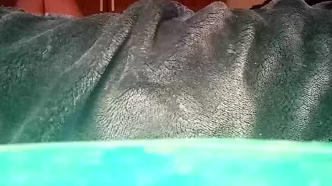 Ignacio online show from 12, 1, 2025