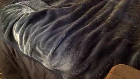 Ignacio online show from 9, 10, 2025