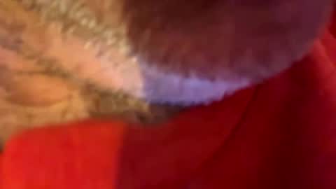 Snapshot of maverick7000 chatting on 31, 10, 2025 maverick7000 online show from 31, 10, 2025