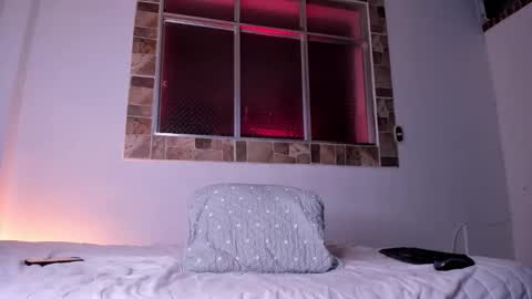 Snapshot of max_valiant1 chatting on 8, 11, 2025 max_valiant1 online show from 8, 11, 2025