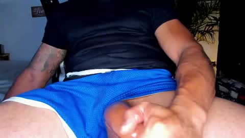 MAXI      online show from 17, 4, 2026