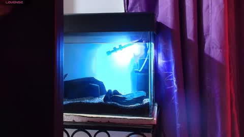 Max online show from 9, 3, 2026