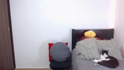 Independent Model online show from 18, 2, 2026