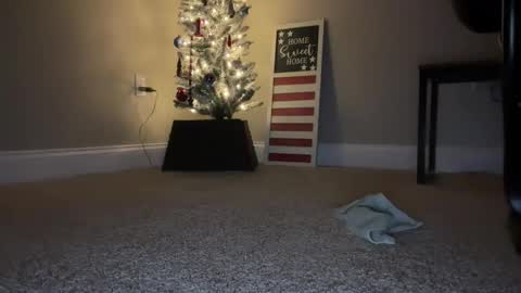 maxx276828 online show from 22, 11, 2025