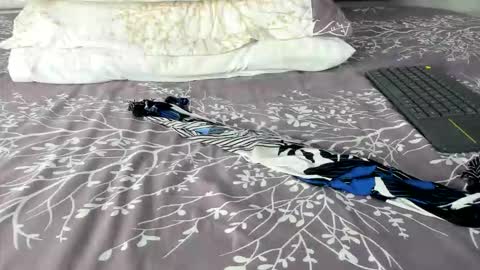 Maybelline69 online show from 2, 3, 2026