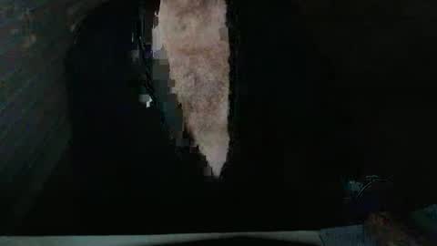 Beastie online show from 5, 11, 2025