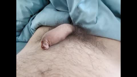 me753619 online show from 3, 6, 2026