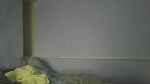 Snapshot of medjik_lool chatting on 30, 12, 2024 Oltereodora-lima online show from 30, 12, 2024