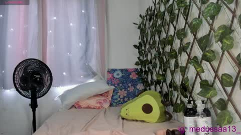 medussa13 online show from 13, 12, 2024