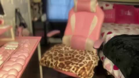 Southern Peach online show from 6, 2, 2026