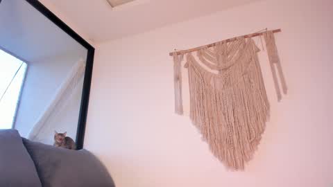 Snapshot of megan__88 chatting on 3, 1, 2025 megan online show from 3, 1, 2025