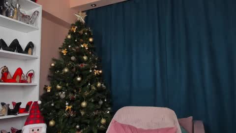 Megan online show from 23, 12, 2024