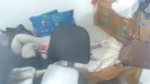 Snapshot of meganny_2023 chatting on 16, 5, 2026 Danny online show from 16, 5, 2026