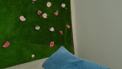 megatitts_ online show from 15, 1, 2026