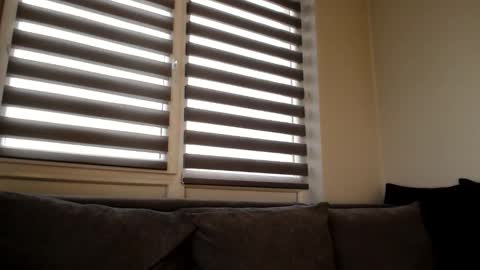 Melania online show from 21, 12, 2024