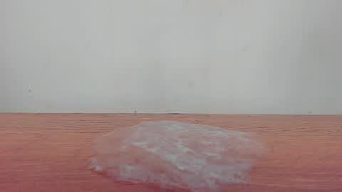 Melania online show from 19, 1, 2026