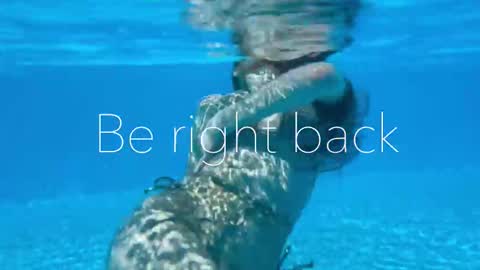 Adel online show from 6, 11, 2025