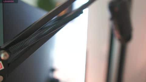 Snapshot of melissa_laurent_ chatting on 10, 11, 2025 Melissa online show from 10, 11, 2025