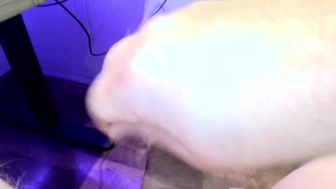 mellomike online show from 22, 9, 2025