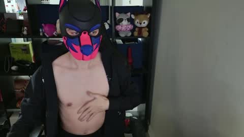 Snapshot of mellpup chatting on 2, 4, 2026 MellPUP online show from 2, 4, 2026