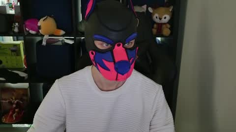 Snapshot of mellpup chatting on 8, 4, 2026 MellPUP online show from 8, 4, 2026