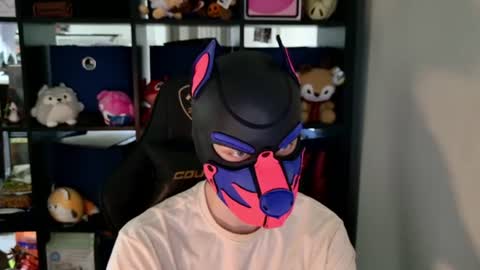 Snapshot of mellpup chatting on 11, 6, 2026 MellPUP online show from 11, 6, 2026
