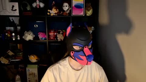 Snapshot of mellpup chatting on 15, 6, 2026 MellPUP online show from 15, 6, 2026