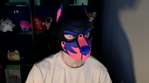 Snapshot of mellpup chatting on 16, 6, 2026 MellPUP online show from 16, 6, 2026