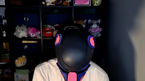 Snapshot of mellpup chatting on 17, 6, 2026 MellPUP online show from 17, 6, 2026