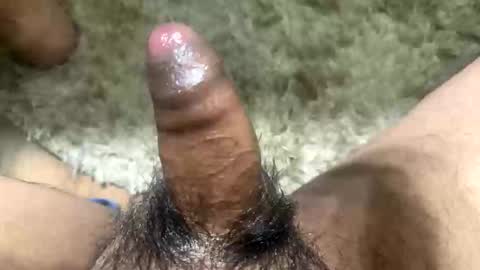 Toro loco online show from 13, 11, 2025