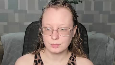 meowcr online show from 17, 1, 2026