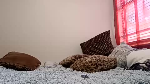 meowzers777 online show from 15, 12, 2024