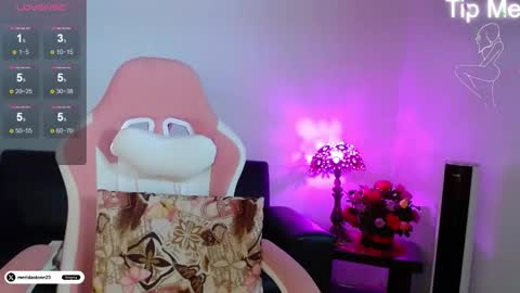 Snapshot of meridastonex chatting on 18, 2, 2026 Merida online show from 18, 2, 2026