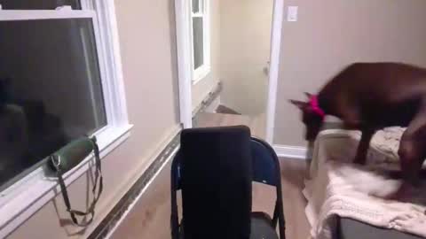 miamak online show from 20, 12, 2025