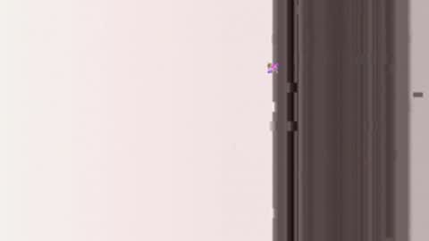 miamifit online show from 19, 3, 2026