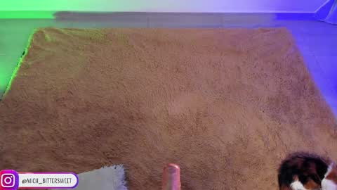         online show from 29, 1, 2025