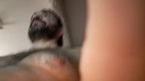 Snapshot of michael666c chatting on 27, 2, 2025 michael666c online show from 27, 2, 2025