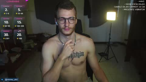 Snapshot of mickey_pict chatting on 15, 12, 2024 Mickey online show from 15, 12, 2024