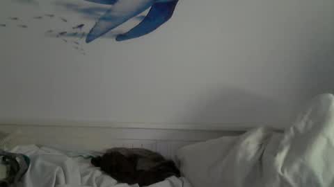 kike online show from 31, 1, 2025