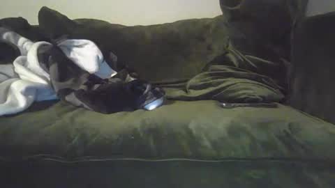 mike_davis44444 online show from 31, 1, 2025