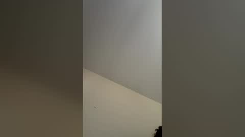 Snapshot of mikethefreshbull chatting on 27, 5, 2026 mikethefreshbull online show from 27, 5, 2026