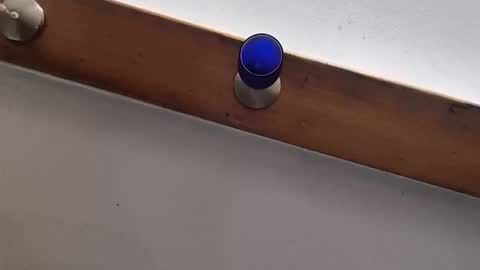 miky17cm online show from 12, 1, 2026